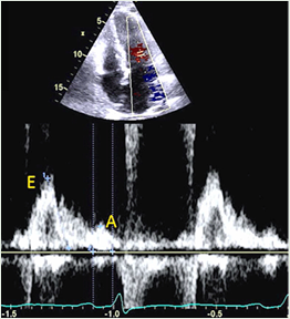 /article/view/images/img_1779967389_018cc3d1.png